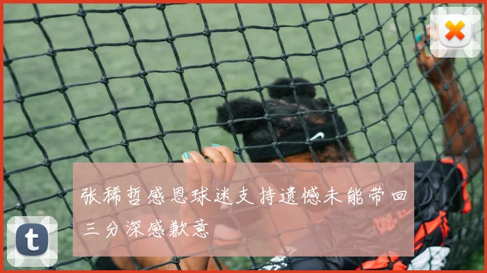 张稀哲感恩球迷支持遗憾未能带回三分深感歉意
